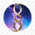 星空麻花影视 Logo